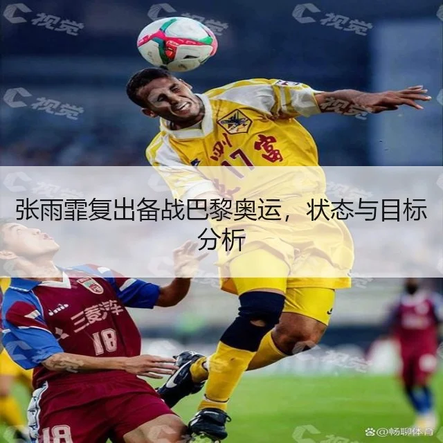 张雨霏复出备战巴黎奥运,状态与目标分析